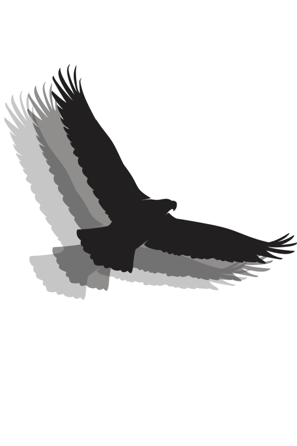 amval commercial insurance